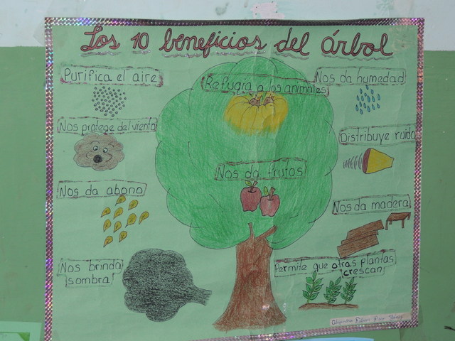 Environmental training at schools, Cochabamba